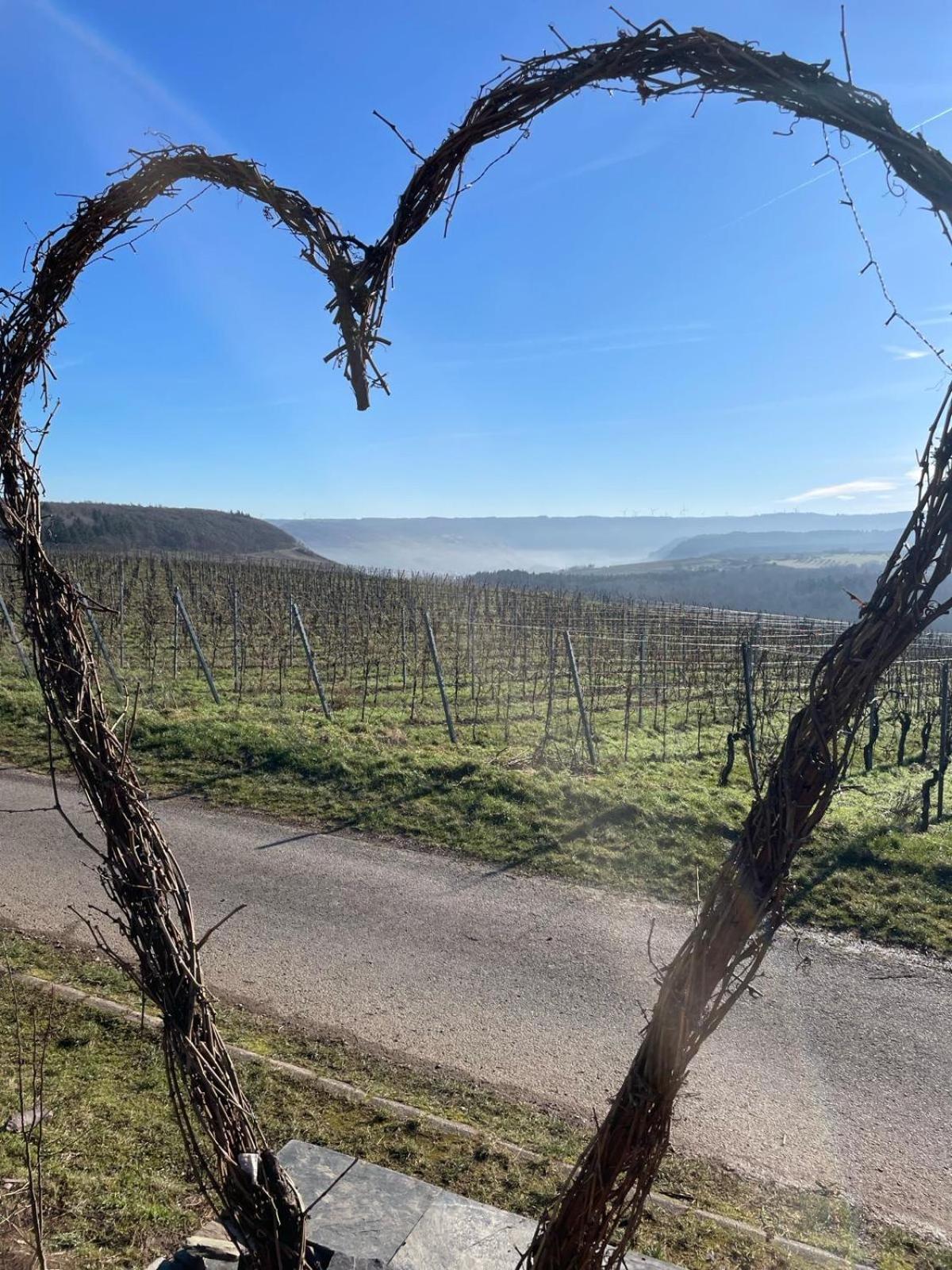 Neue Loft Im Alten Kelterhaus - Urlaub Im Wein- Und Ferienort Bekond Esterno foto