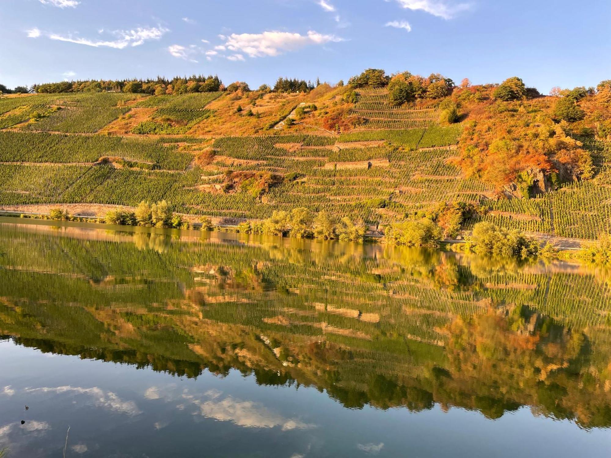 Neue Loft Im Alten Kelterhaus - Urlaub Im Wein- Und Ferienort Bekond Esterno foto